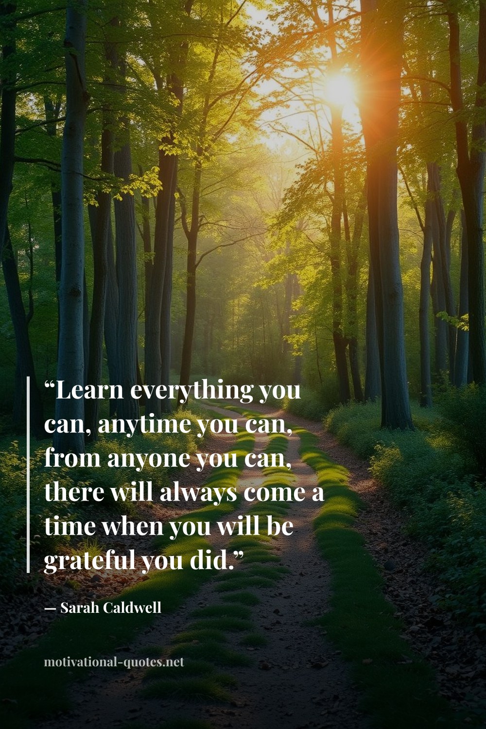 "“Learn everything you can, anytime you can, from anyone you can, there will always come a time when you will be grateful you did.”" — Sarah Caldwell