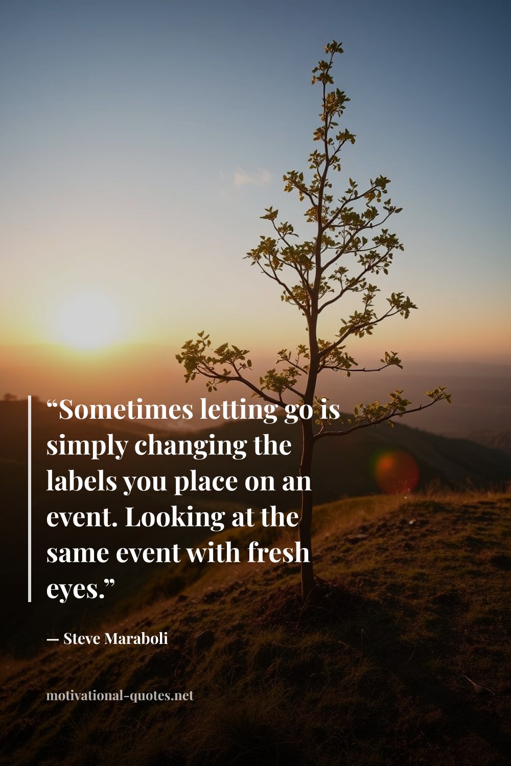"“Sometimes letting go is simply changing the labels you place on an event. Looking at the same event with fresh eyes.”" — Steve Maraboli