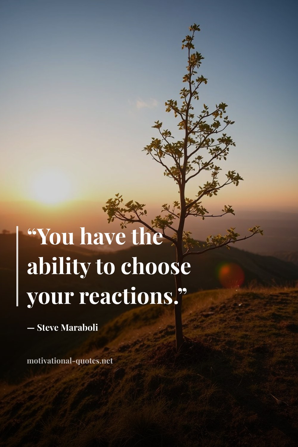 "“You have the ability to choose your reactions.”" — Steve Maraboli