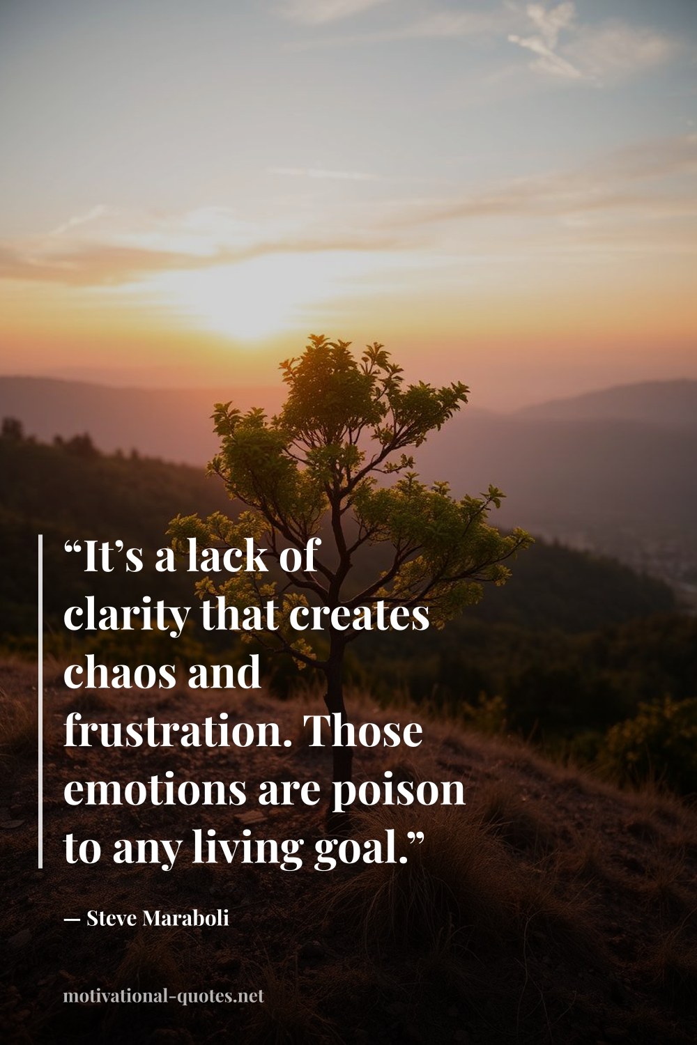 "“It’s a lack of clarity that creates chaos and frustration. Those emotions are poison to any living goal.”" — Steve Maraboli