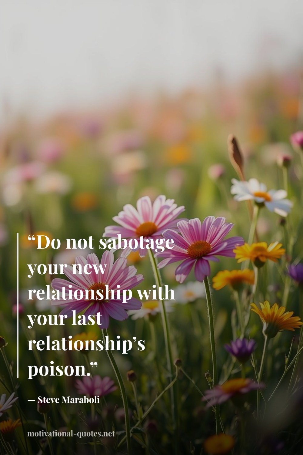 "“Do not sabotage your new relationship with your last relationship’s poison.”" — Steve Maraboli