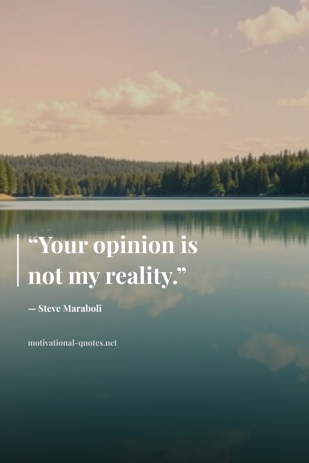 "“Your opinion is not my reality.”" — Steve Maraboli