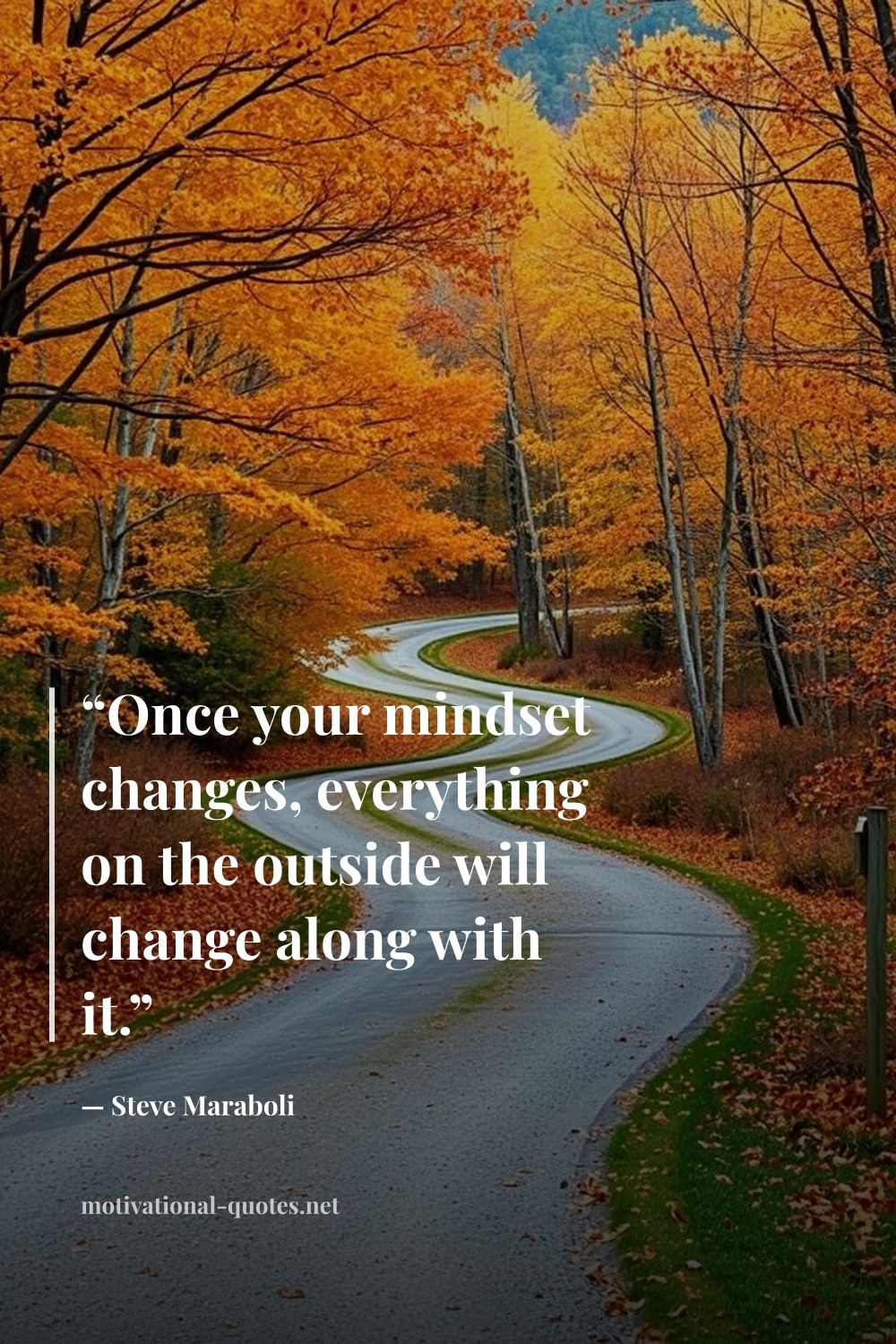 "“Once your mindset changes, everything on the outside will change along with it.”" — Steve Maraboli