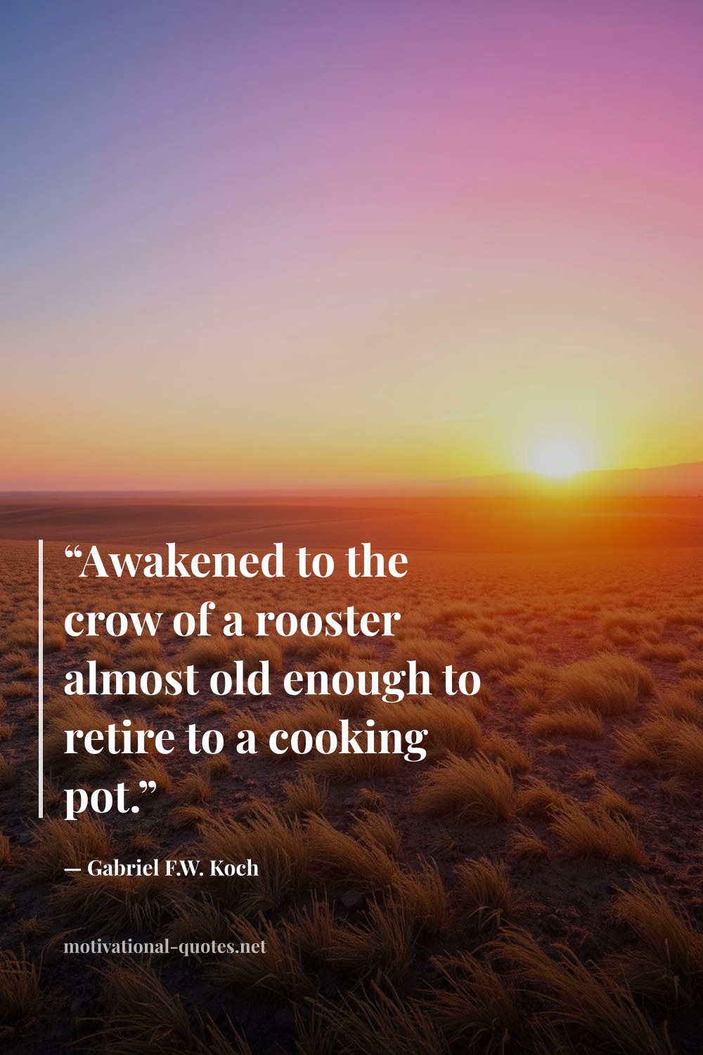 "“Awakened to the crow of a rooster almost old enough to retire to a cooking pot.”" — Gabriel F.W. Koch