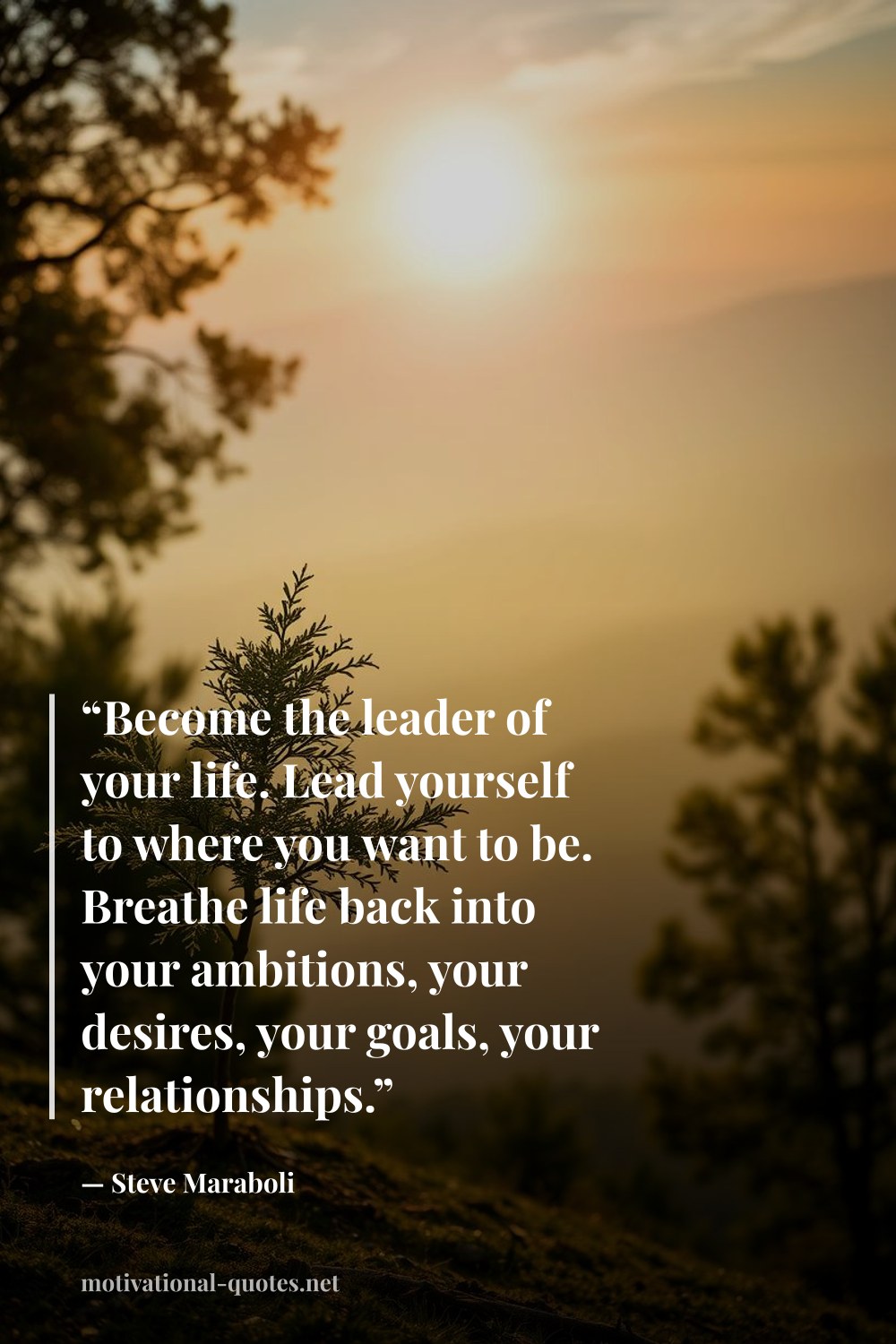 "“Become the leader of your life. Lead yourself to where you want to be. Breathe life back into your ambitions, your desires, your goals, your relationships.”" — Steve Maraboli