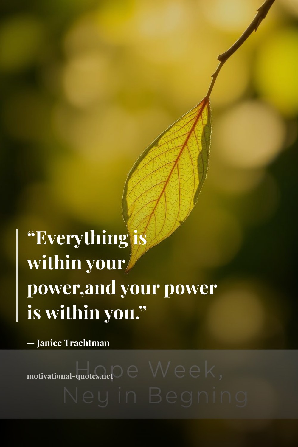 "“Everything is within your power,and your power is within you.”" — Janice Trachtman