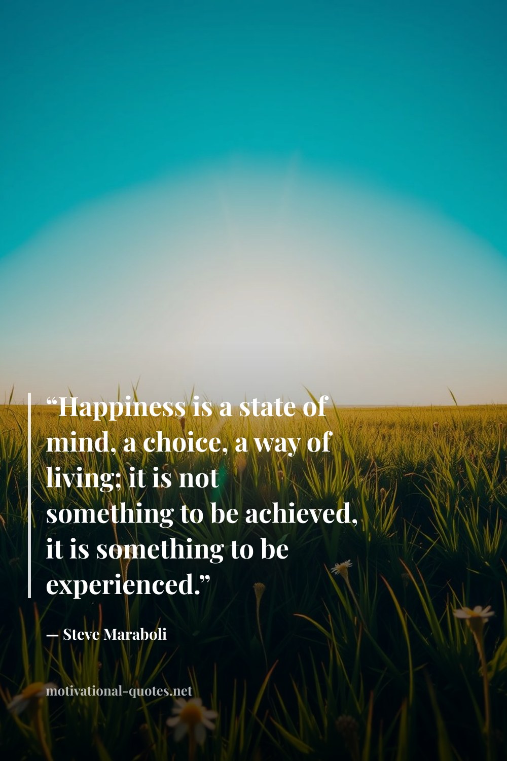"“Happiness is a state of mind, a choice, a way of living; it is not something to be achieved, it is something to be experienced.”" — Steve Maraboli