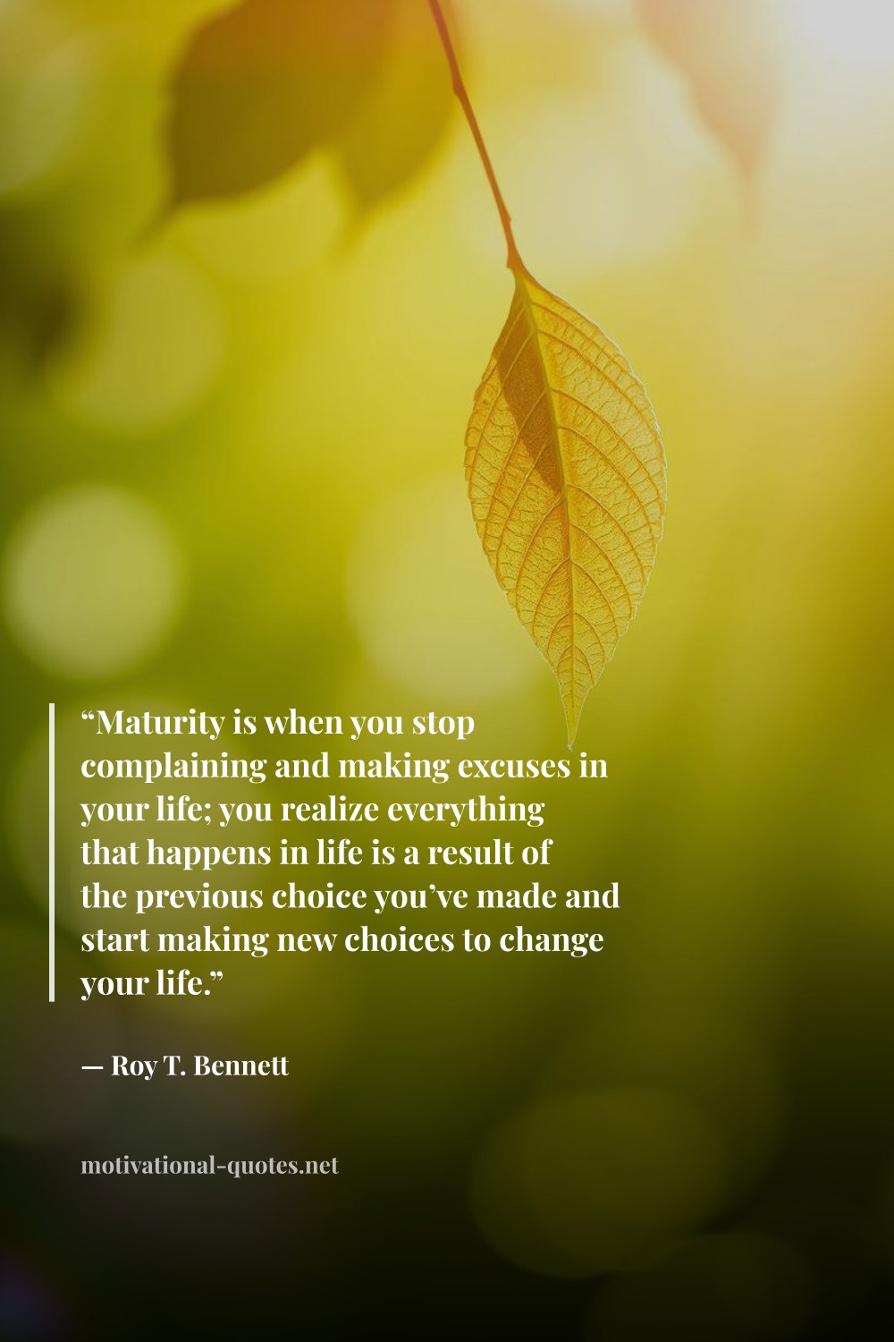 "“Maturity is when you stop complaining and making excuses in your life; you realize everything that happens in life is a result of the previous choice you’ve made and start making new choices to change your life.”" — Roy T. Bennett