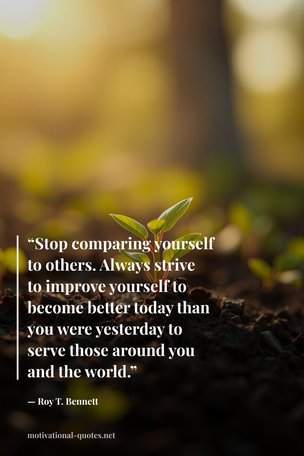 "“Stop comparing yourself to others. Always strive to improve yourself to become better today than you were yesterday to serve those around you and the world.”" — Roy T. Bennett