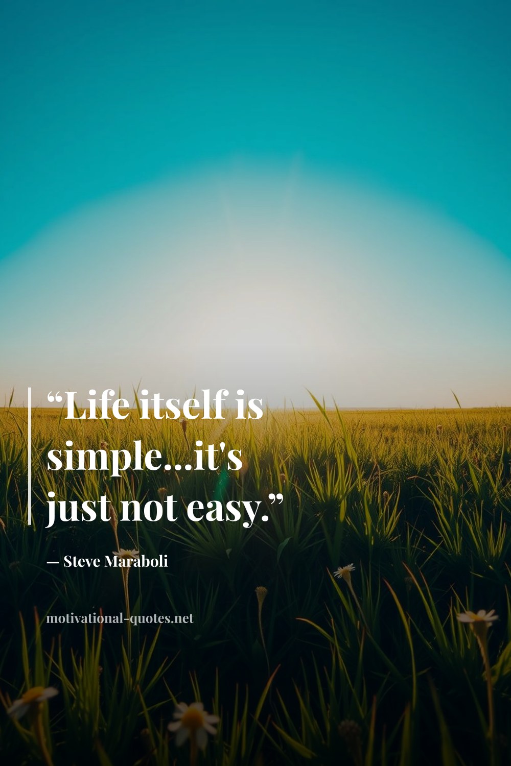 "“Life itself is simple...it's just not easy.”" — Steve Maraboli