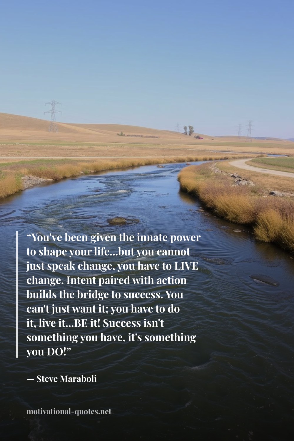 "“You've been given the innate power to shape your life...but you cannot just speak change, you have to LIVE change. Intent paired with action builds the bridge to success. You can't just want it; you have to do it, live it...BE it! Success isn't something you have, it's something you DO!”" — Steve Maraboli