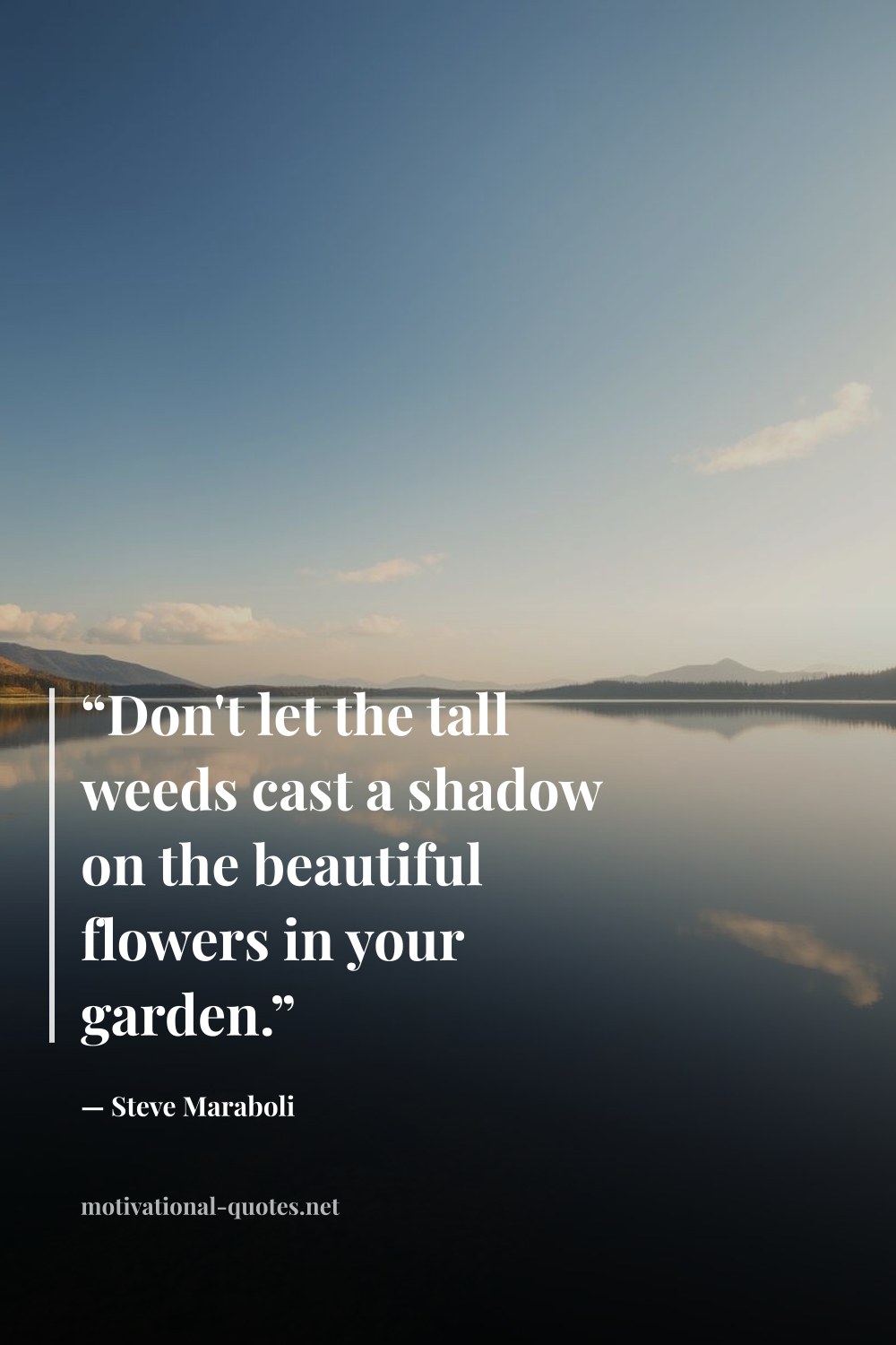 "“Don't let the tall weeds cast a shadow on the beautiful flowers in your garden.”" — Steve Maraboli