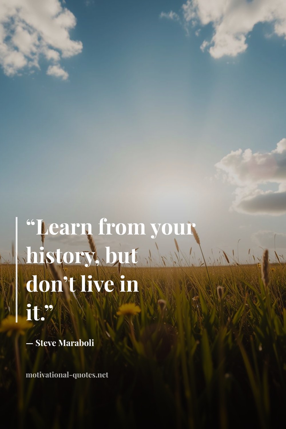 "“Learn from your history, but don’t live in it.”" — Steve Maraboli