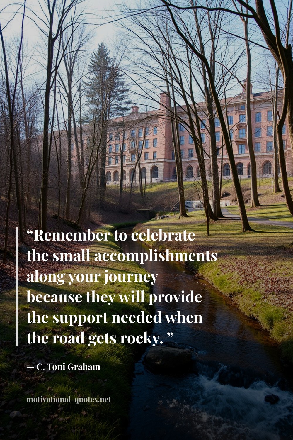 "“Remember to celebrate the small accomplishments along your journey because they will provide the support needed when the road gets rocky. ”" — C. Toni Graham