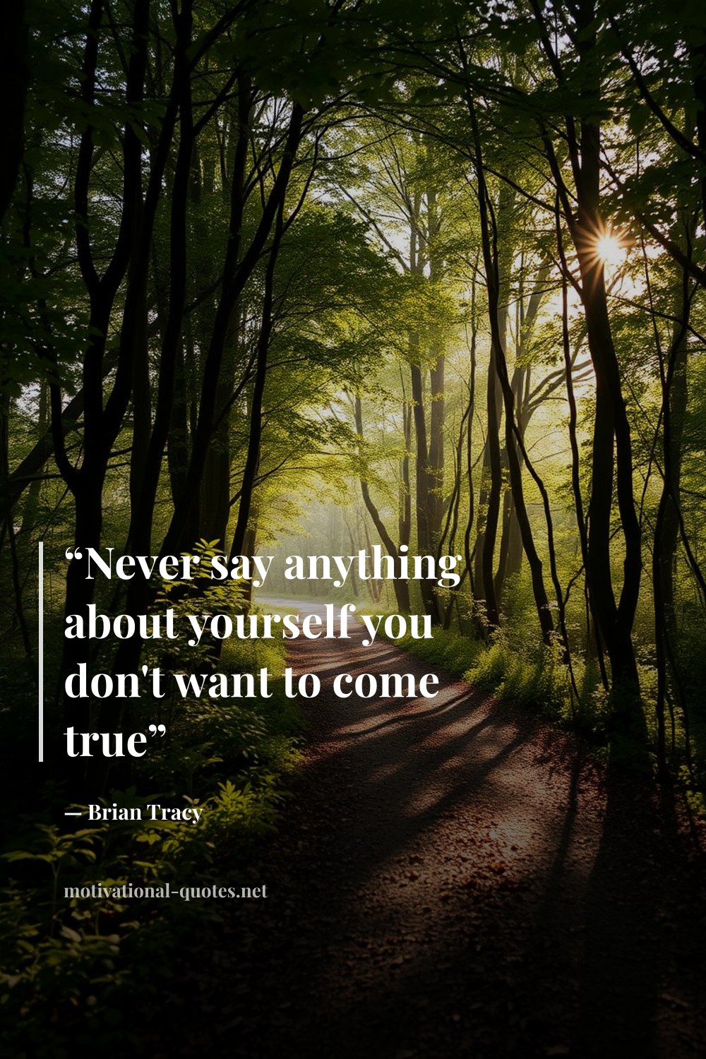 "“Never say anything about yourself you don't want to come true”" — Brian Tracy