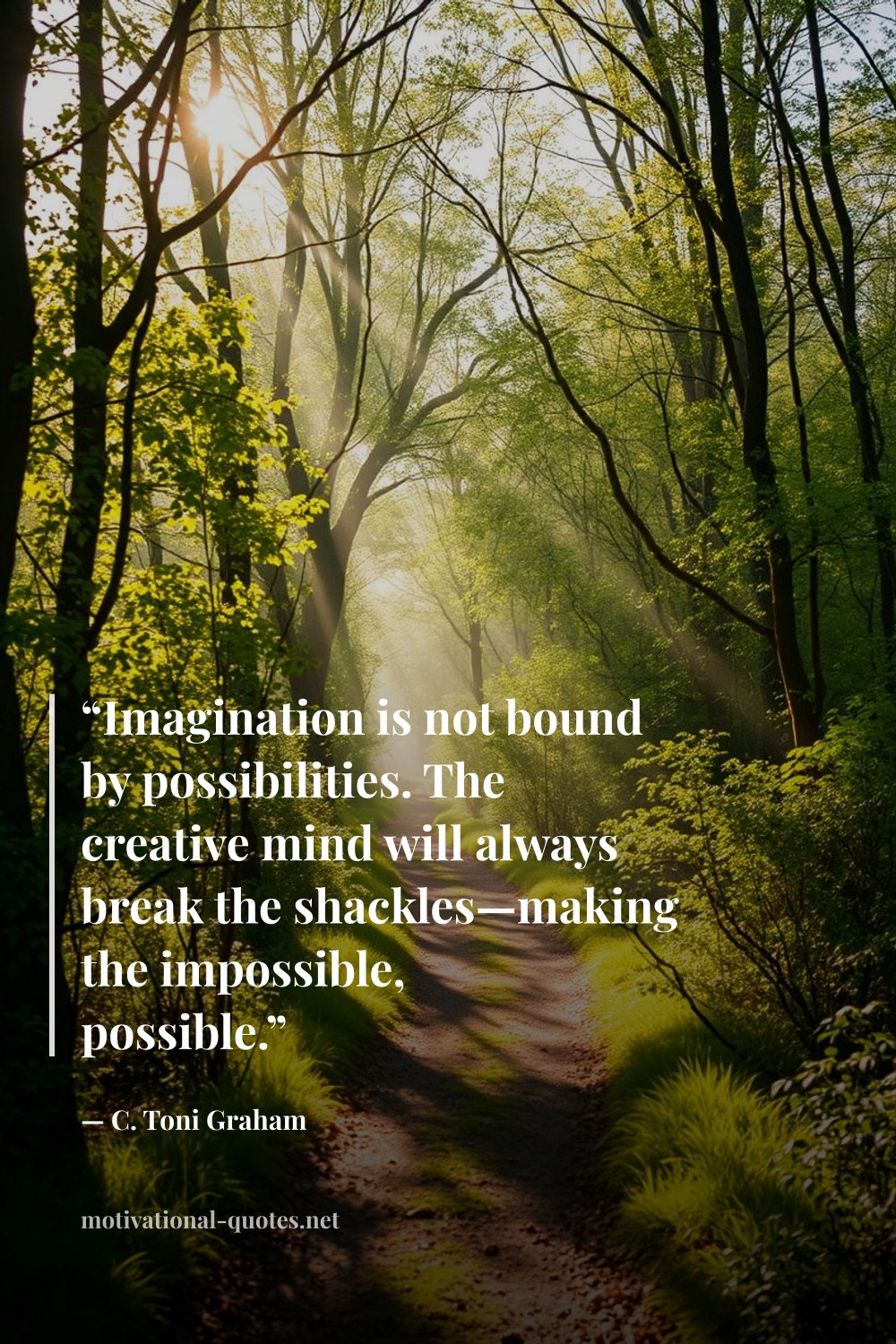 "“Imagination is not bound by possibilities. The creative mind will always break the shackles—making the impossible, possible.”" — C. Toni Graham