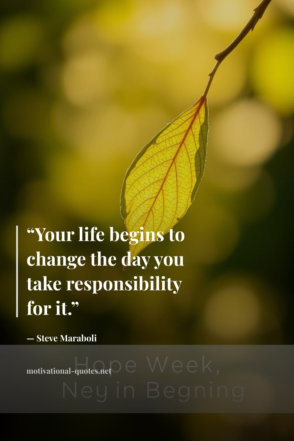 "“Your life begins to change the day you take responsibility for it.”" — Steve Maraboli