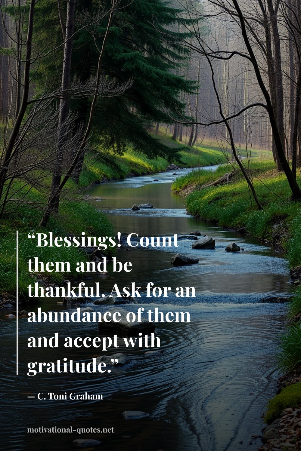 "“Blessings! Count them and be thankful. Ask for an abundance of them and accept with gratitude.”" — C. Toni Graham