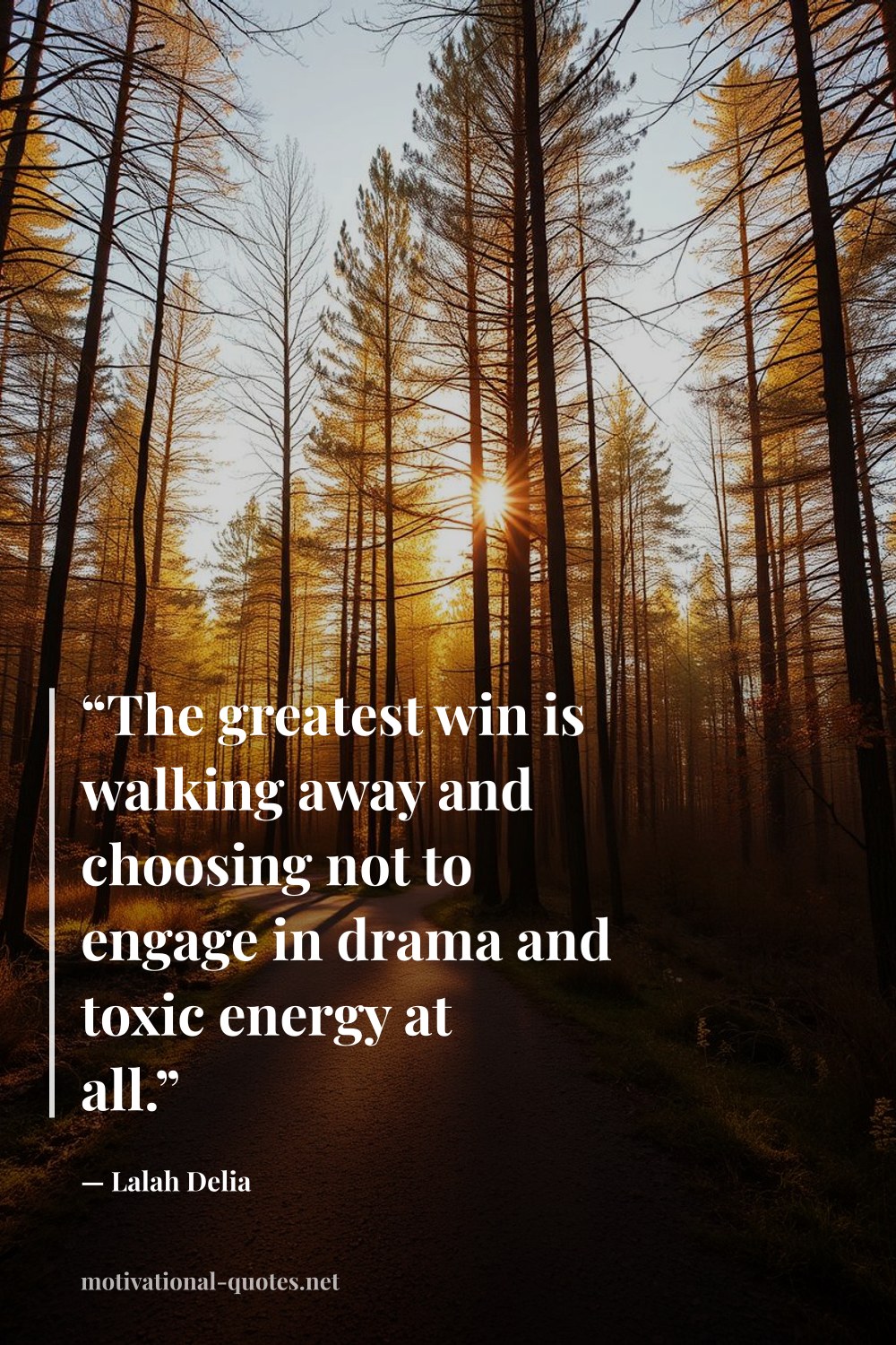 "“The greatest win is walking away and choosing not to engage in drama and toxic energy at all.”" — Lalah Delia