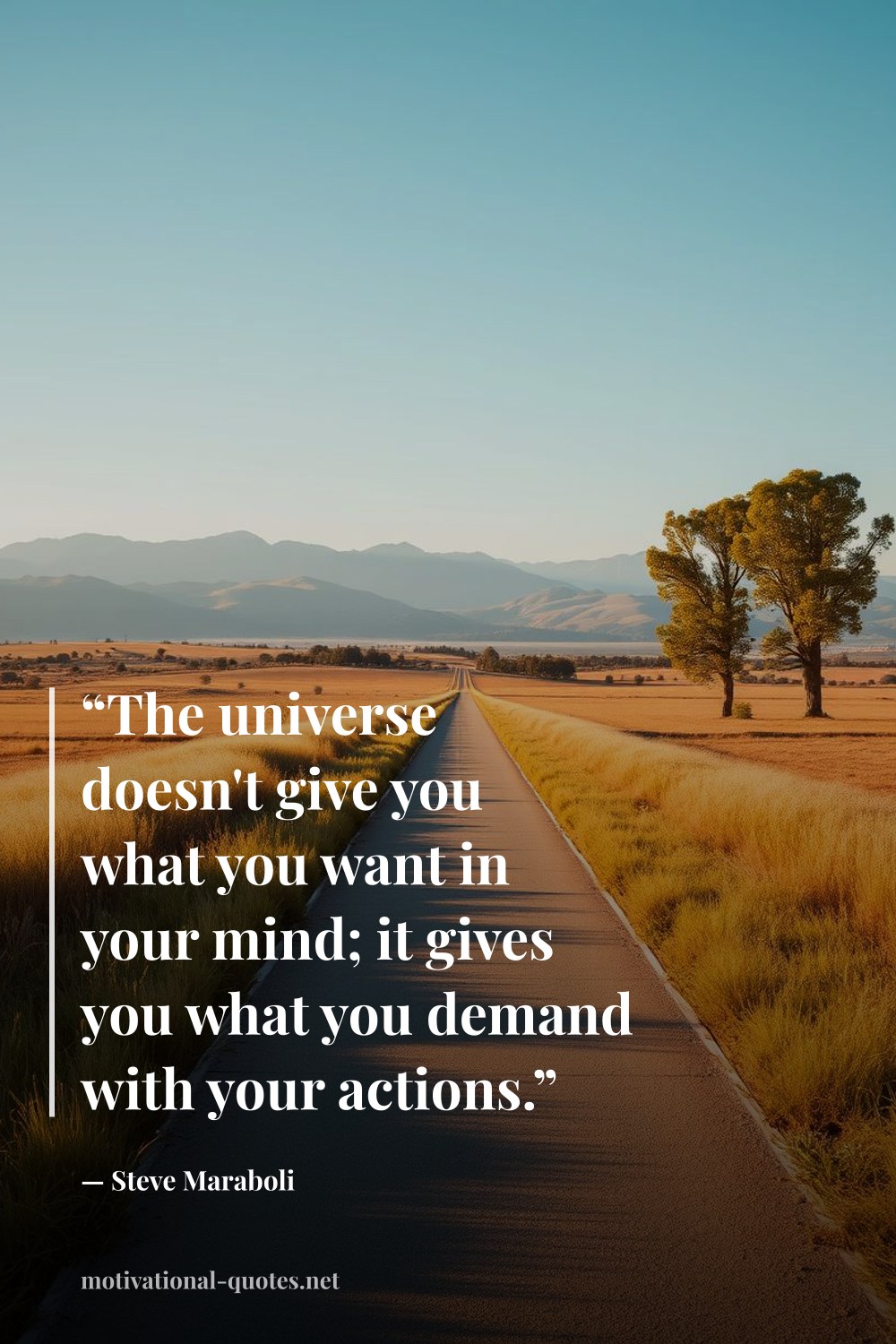 "“The universe doesn't give you what you want in your mind; it gives you what you demand with your actions.”" — Steve Maraboli