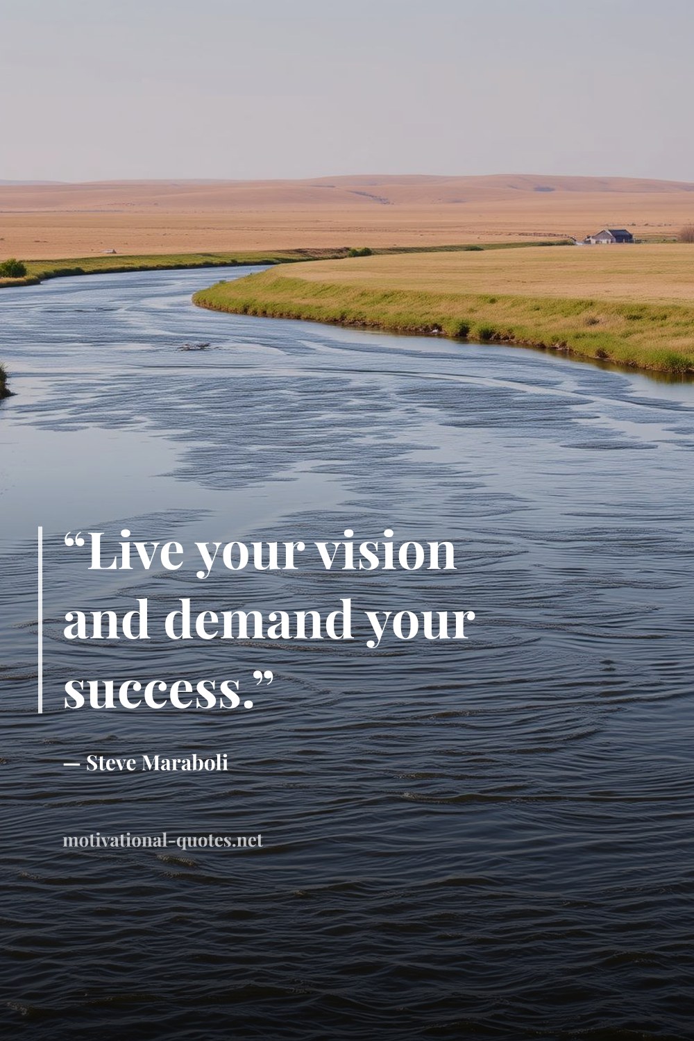 "“Live your vision and demand your success.”" — Steve Maraboli