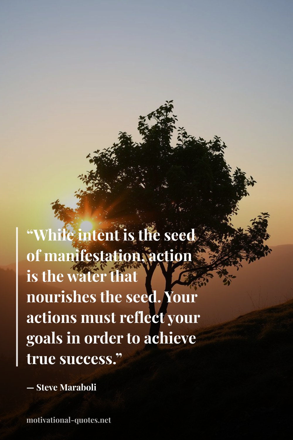 "“While intent is the seed of manifestation, action is the water that nourishes the seed. Your actions must reflect your goals in order to achieve true success.”" — Steve Maraboli
