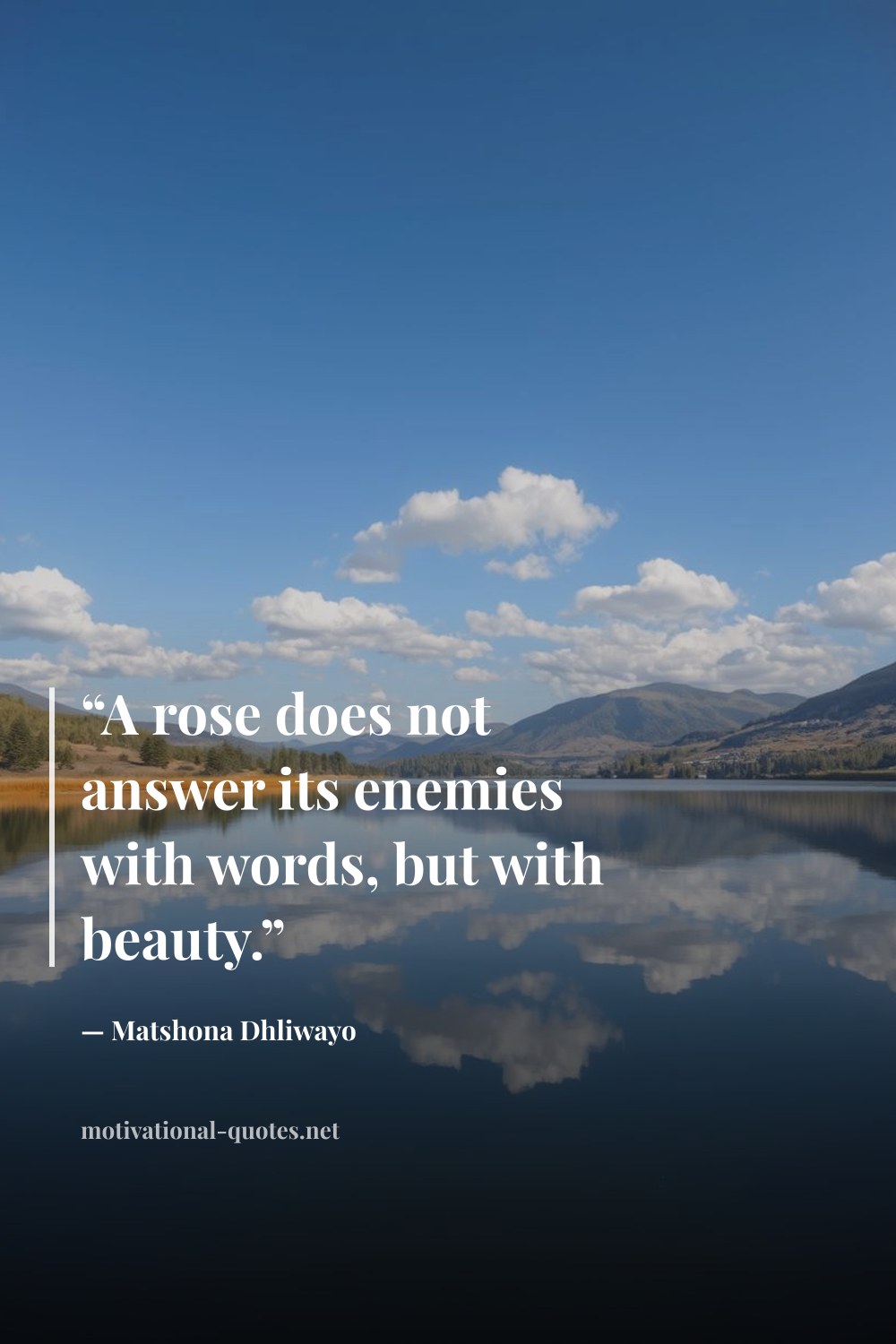 "“A rose does not answer its enemies with words, but with beauty.”" — Matshona Dhliwayo