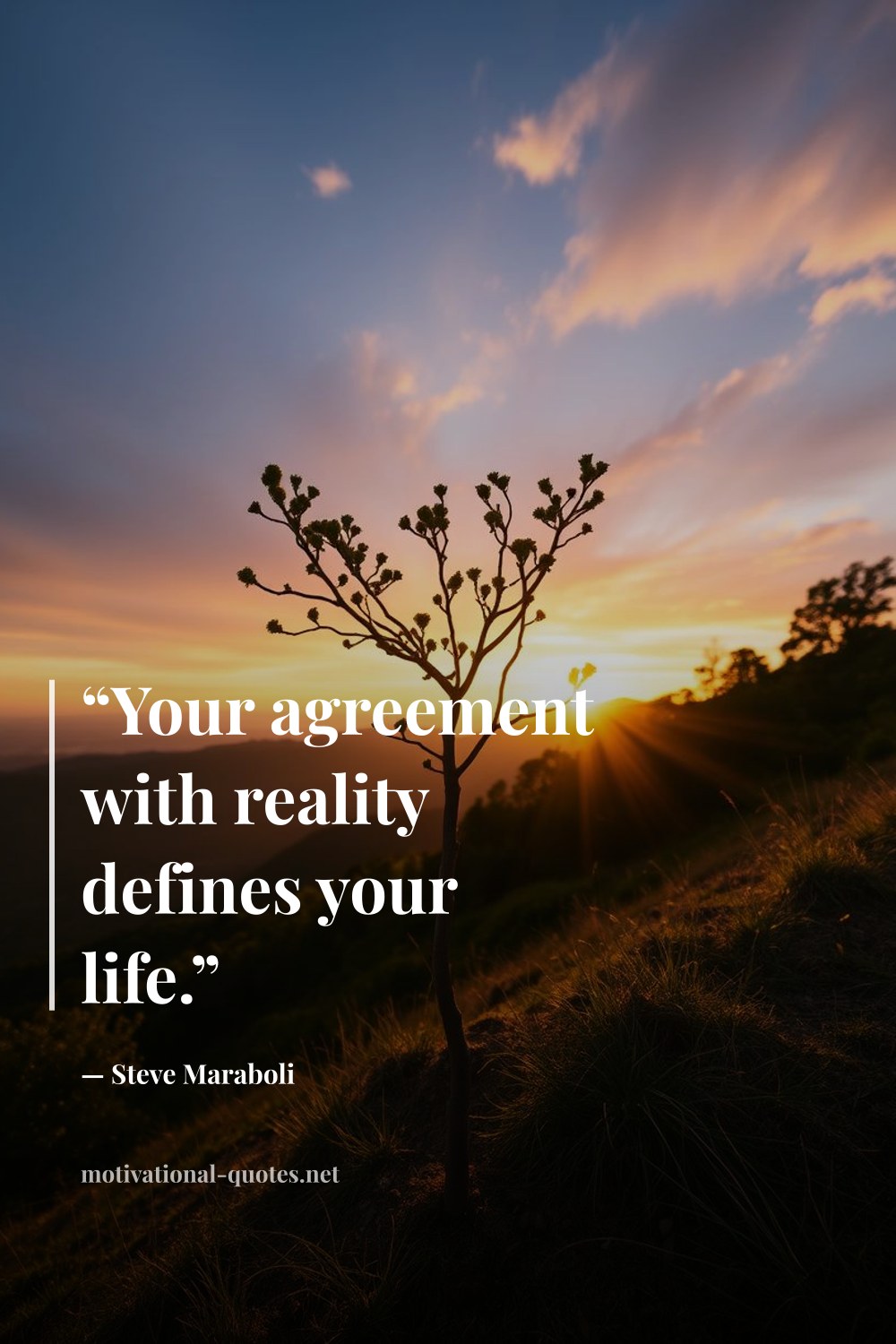 "“Your agreement with reality defines your life.”" — Steve Maraboli