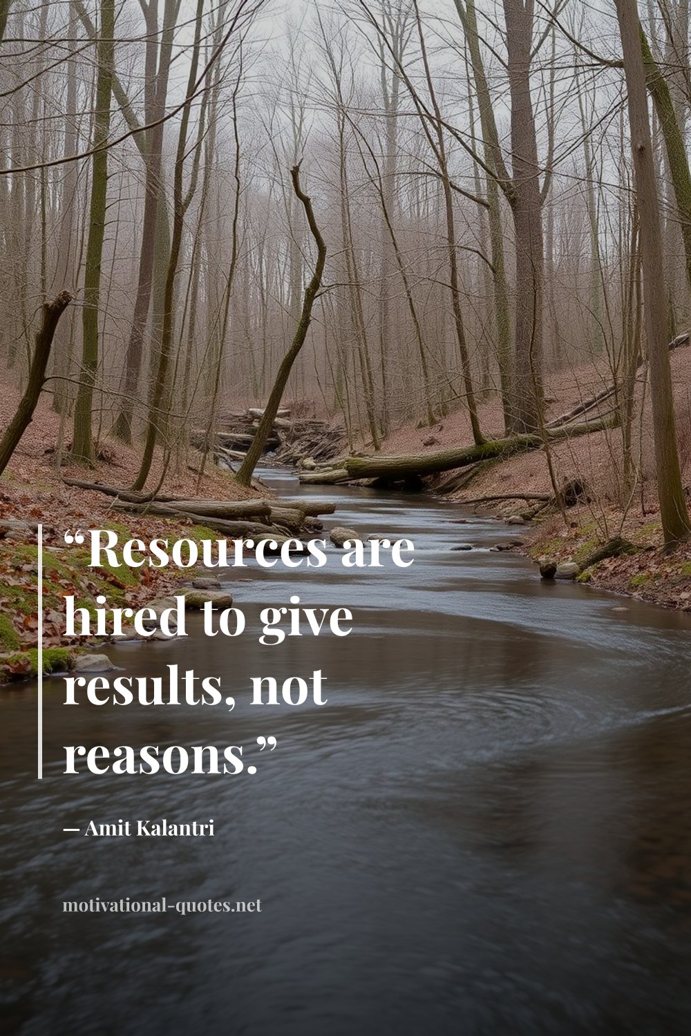"“Resources are hired to give results, not reasons.”" — Amit Kalantri