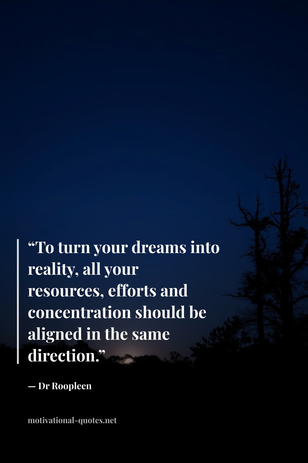 "“To turn your dreams into reality, all your resources, efforts and concentration should be aligned in the same direction.”" — Dr Roopleen