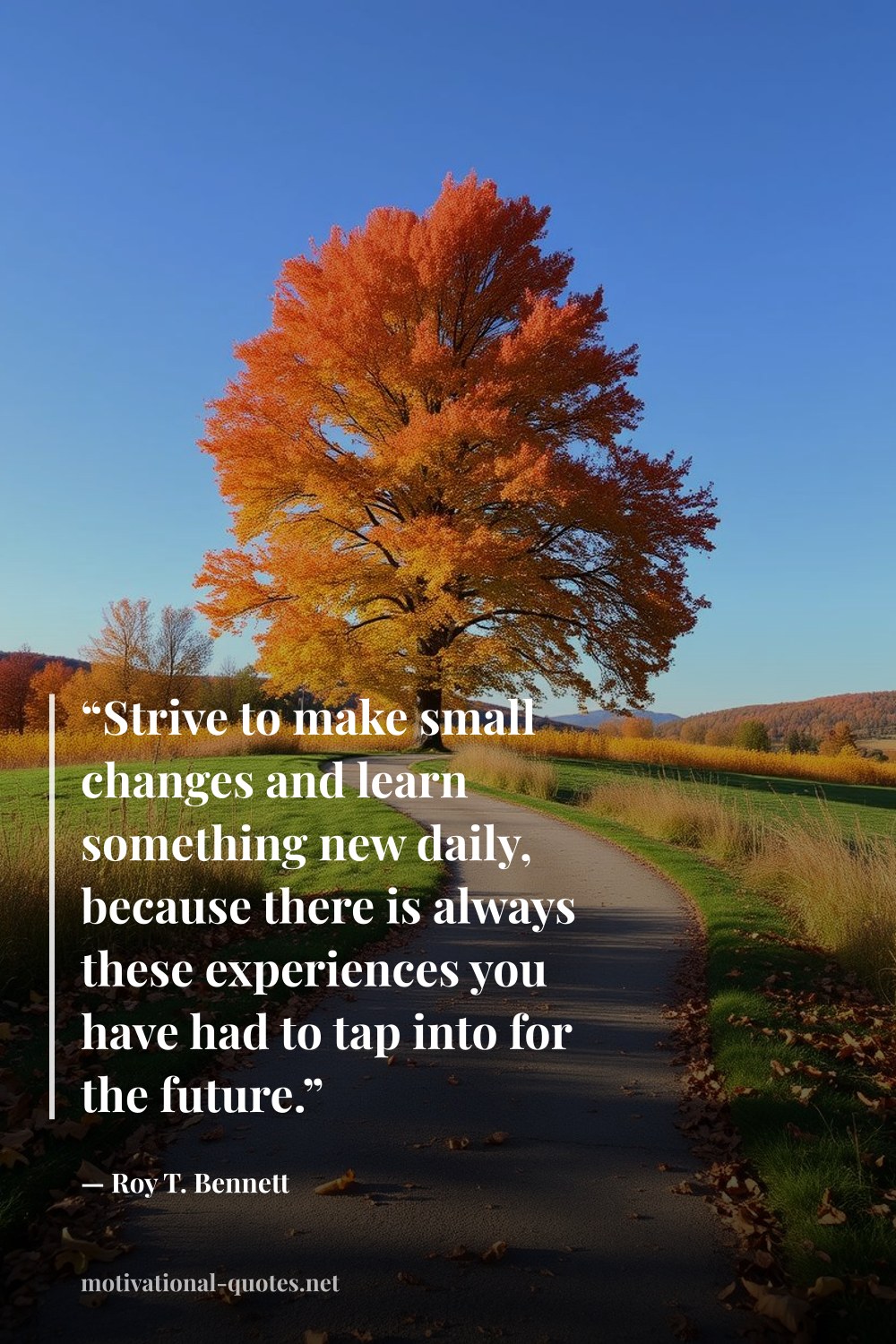 "“Strive to make small changes and learn something new daily, because there is always these experiences you have had to tap into for the future.”" — Roy T. Bennett