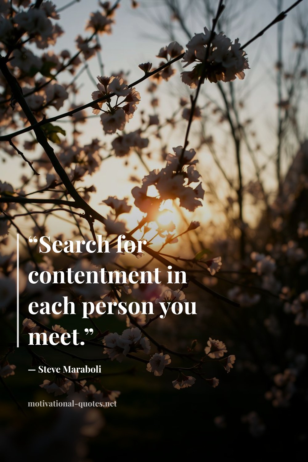 "“Search for contentment in each person you meet.”" — Steve Maraboli