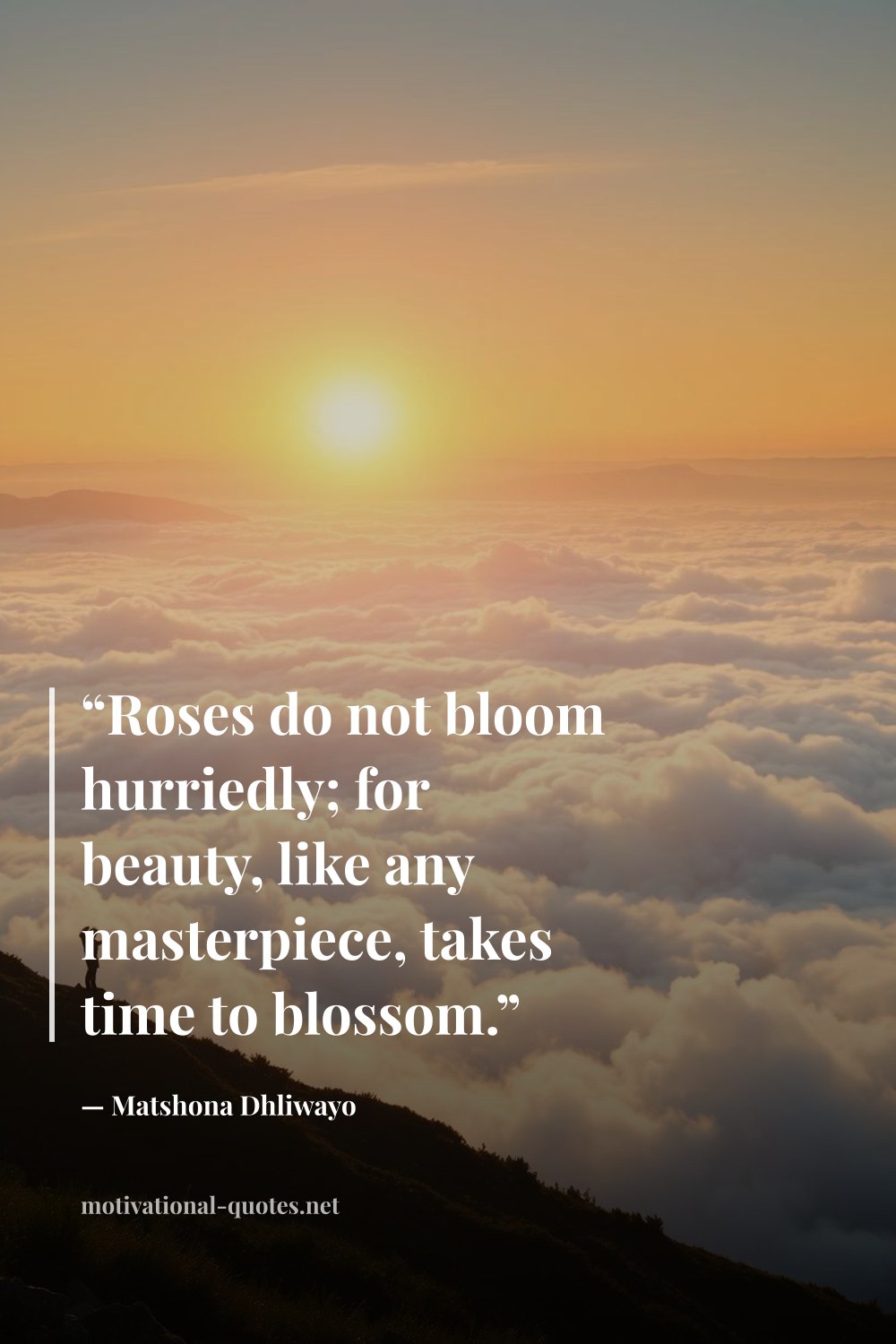 "“Roses do not bloom hurriedly; for beauty, like any masterpiece, takes time to blossom.”" — Matshona Dhliwayo