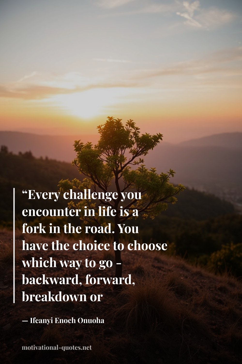 "“Every challenge you encounter in life is a fork in the road. You have the choice to choose which way to go - backward, forward, breakdown or breakthrough.”" — Ifeanyi Enoch Onuoha