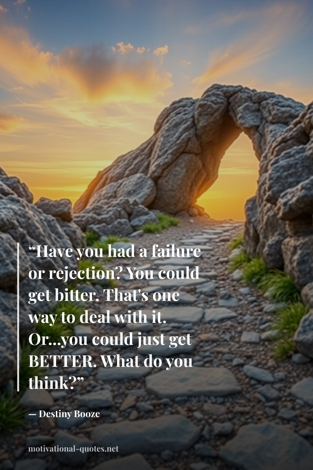 "“Have you had a failure or rejection? You could get bitter. That's one way to deal with it. Or...you could just get BETTER. What do you think?”" — Destiny Booze
