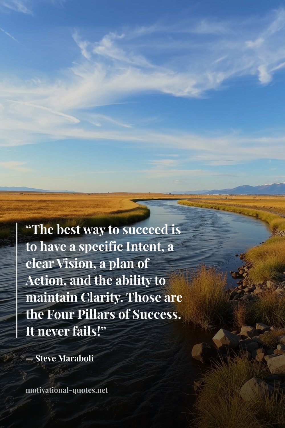 "“The best way to succeed is to have a specific Intent, a clear Vision, a plan of Action, and the ability to maintain Clarity. Those are the Four Pillars of Success. It never fails!”" — Steve Maraboli