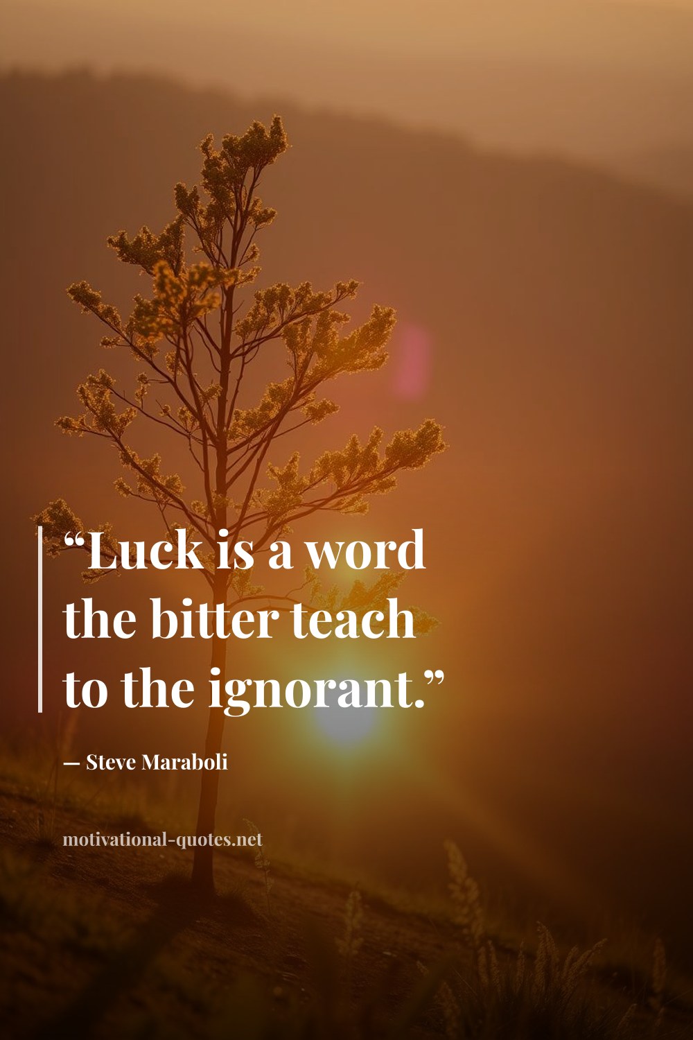 "“Luck is a word the bitter teach to the ignorant.”" — Steve Maraboli