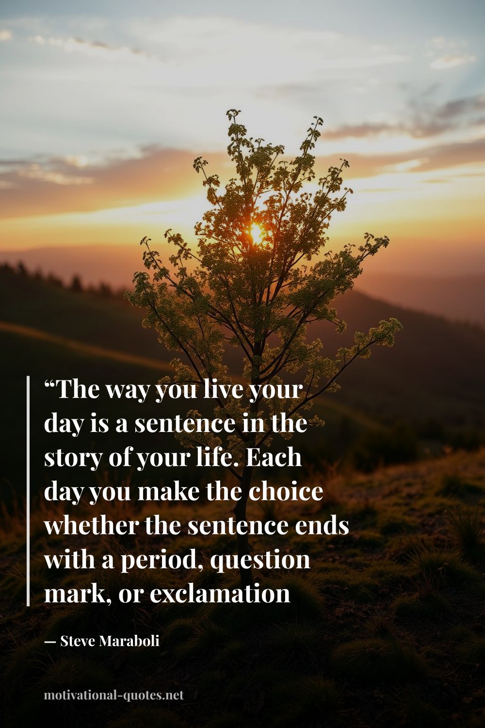 "“The way you live your day is a sentence in the story of your life. Each day you make the choice whether the sentence ends with a period, question mark, or exclamation point.”" — Steve Maraboli