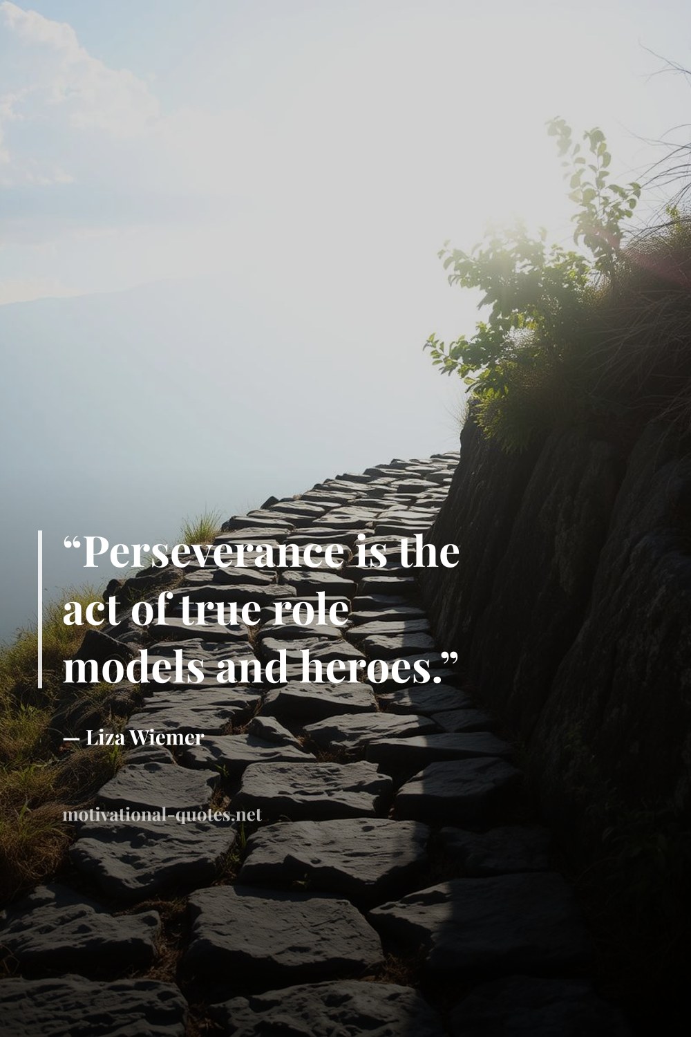 "“Perseverance is the act of true role models and heroes.”" — Liza Wiemer