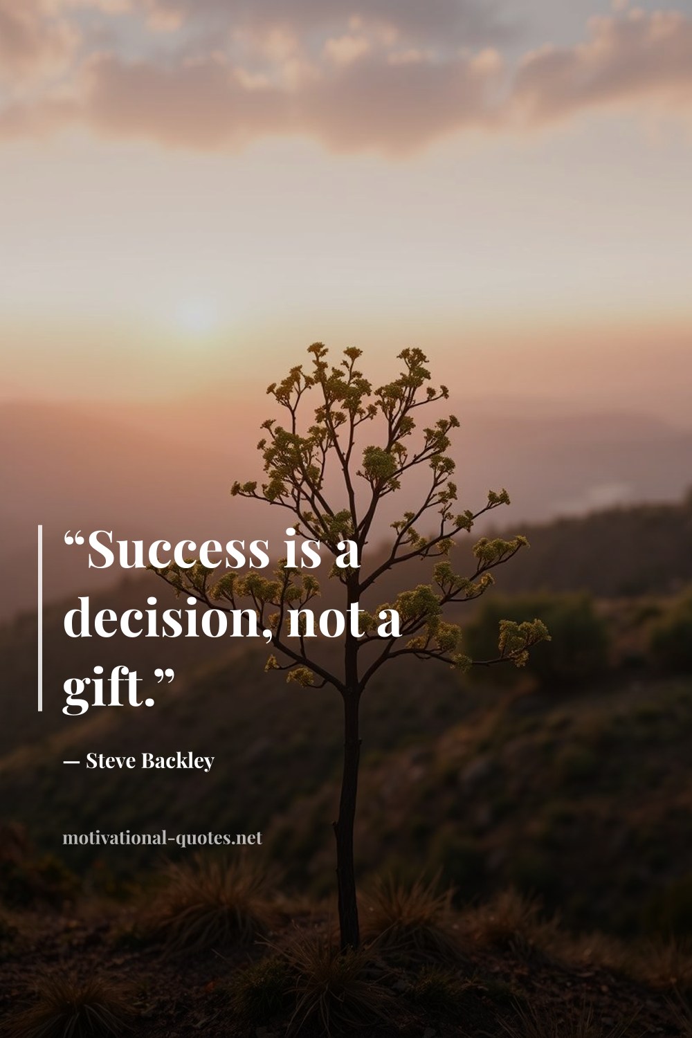 "“Success is a decision, not a gift.”" — Steve Backley