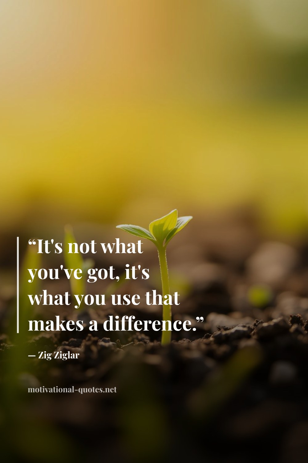 "“It's not what you've got, it's what you use that makes a difference.”" — Zig Ziglar