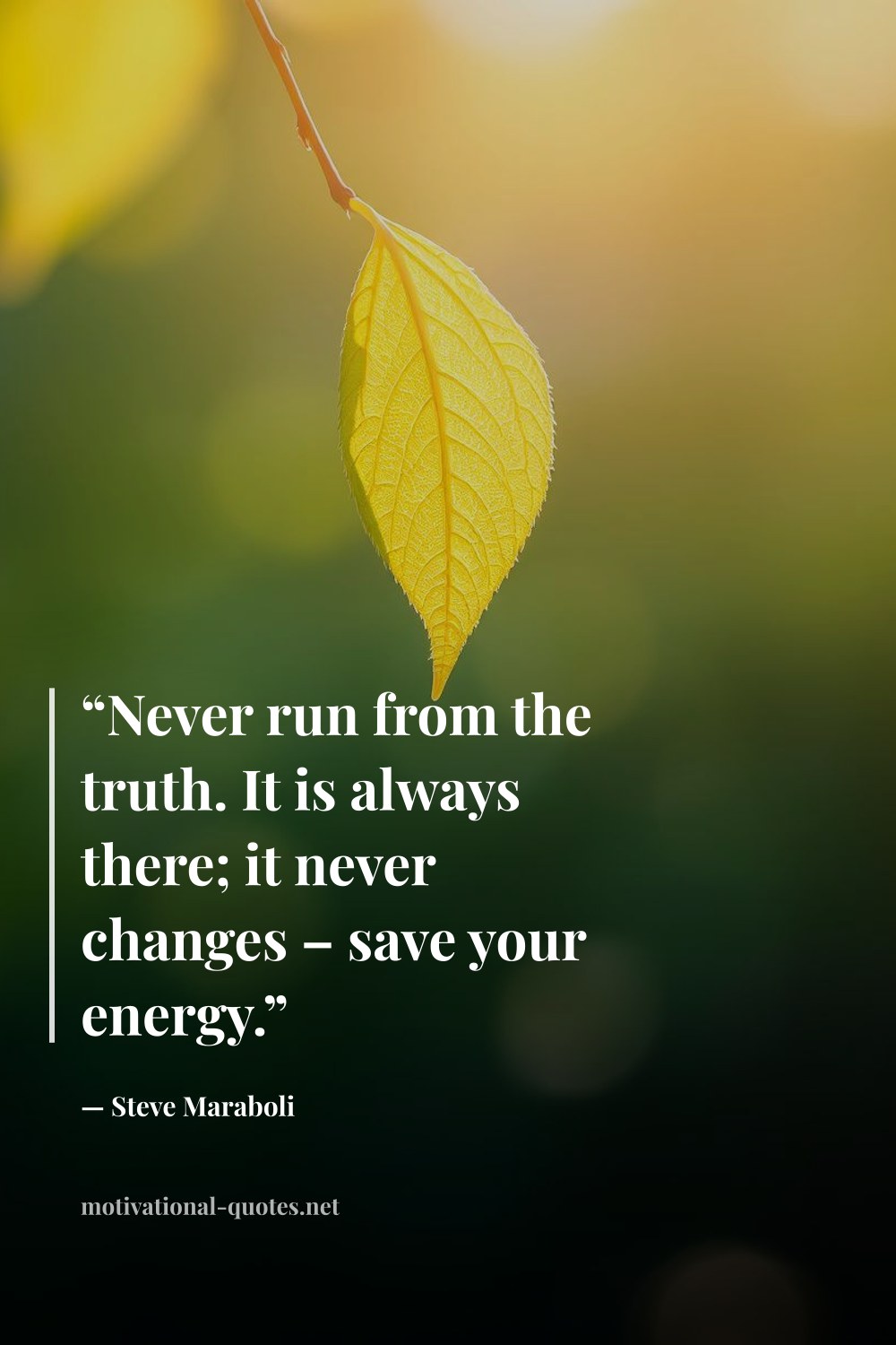 "“Never run from the truth. It is always there; it never changes – save your energy.”" — Steve Maraboli