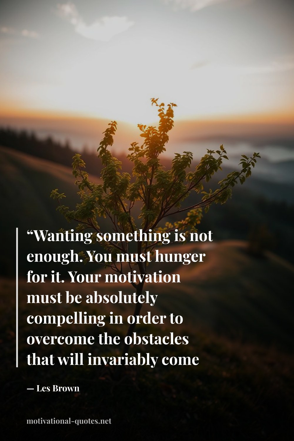 "“Wanting something is not enough. You must hunger for it. Your motivation must be absolutely compelling in order to overcome the obstacles that will invariably come your way.”" — Les Brown