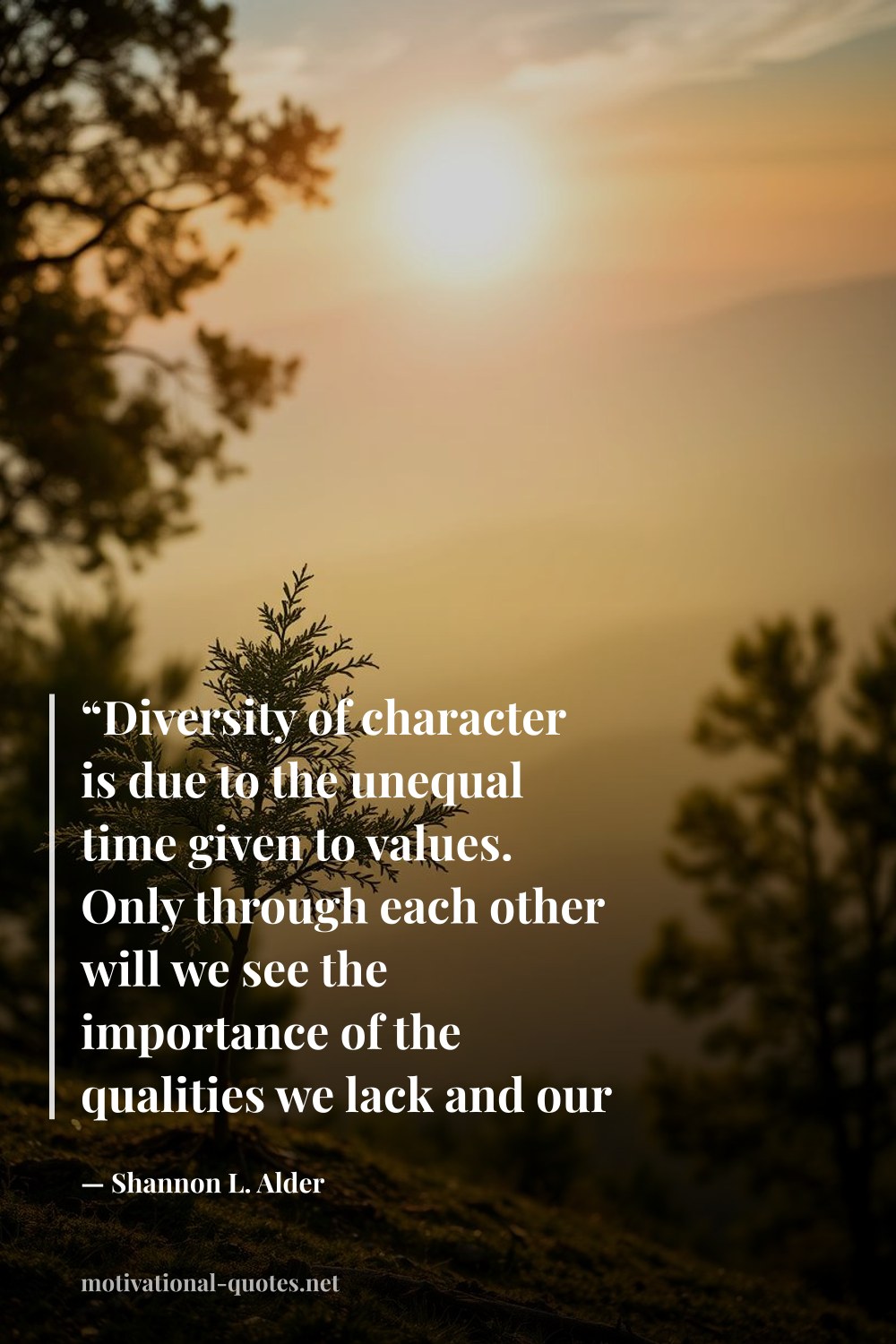 "“Diversity of character is due to the unequal time given to values. Only through each other will we see the importance of the qualities we lack and our unfinished soul's potential.”" — Shannon L. Alder
