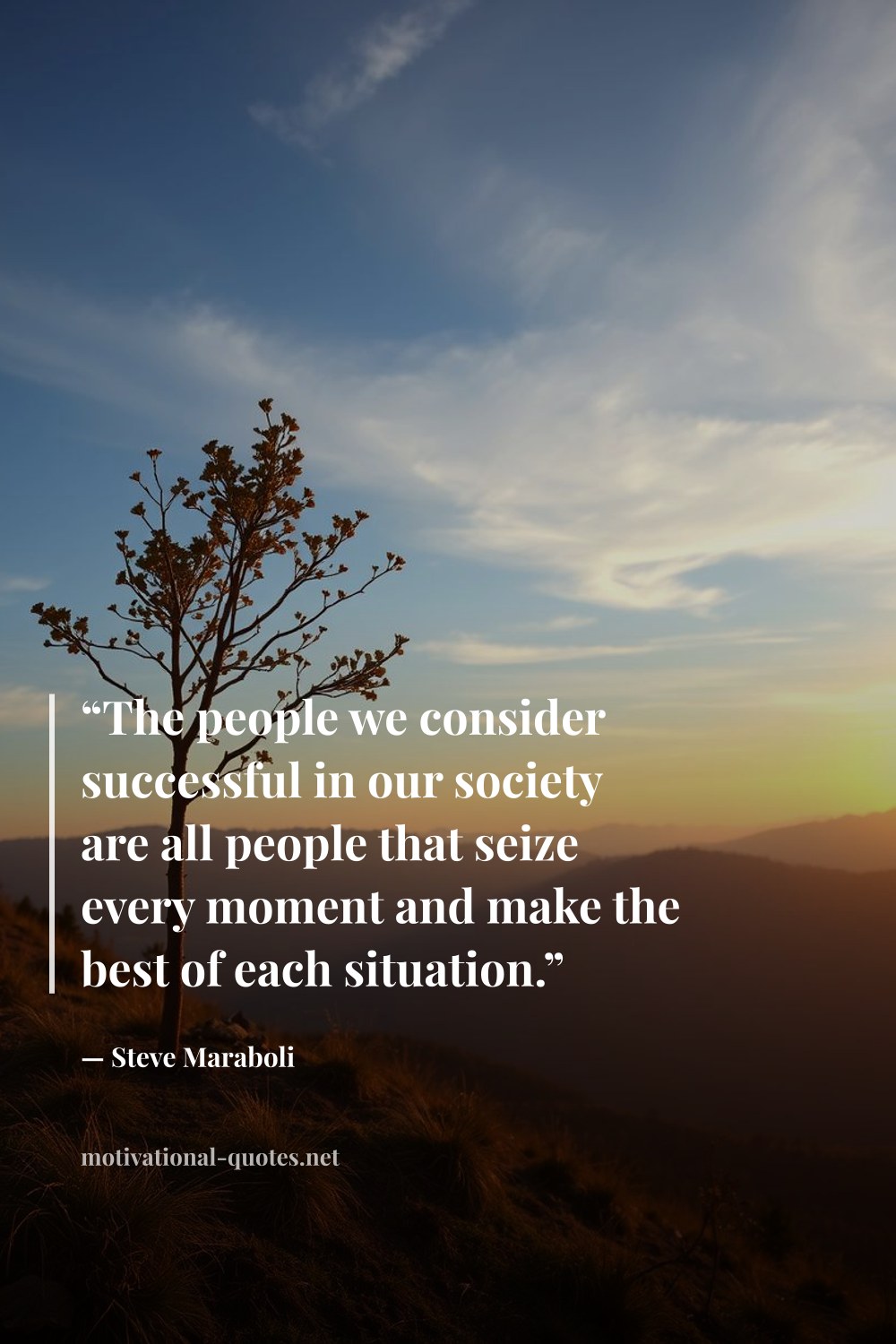 "“The people we consider successful in our society are all people that seize every moment and make the best of each situation.”" — Steve Maraboli
