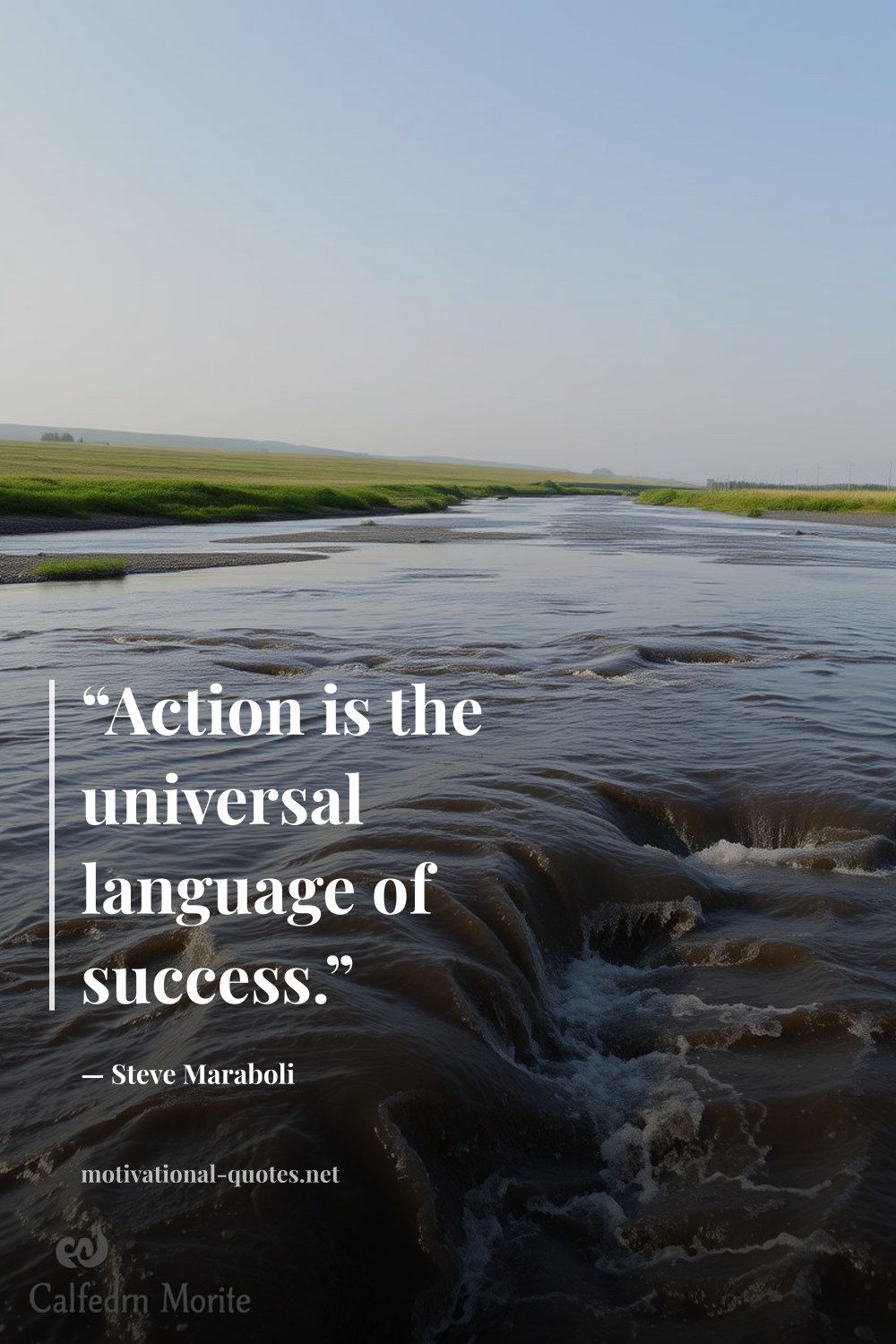 "“Action is the universal language of success.”" — Steve Maraboli