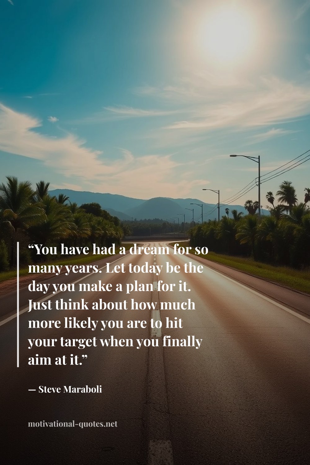 "“You have had a dream for so many years. Let today be the day you make a plan for it. Just think about how much more likely you are to hit your target when you finally aim at it.”" — Steve Maraboli