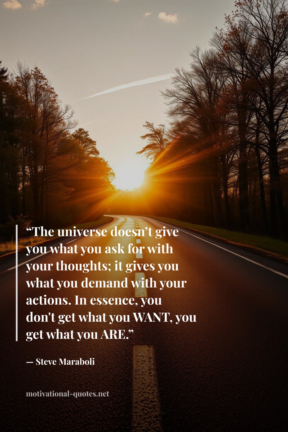 "“The universe doesn’t give you what you ask for with your thoughts; it gives you what you demand with your actions. In essence, you don't get what you WANT, you get what you ARE.”" — Steve Maraboli