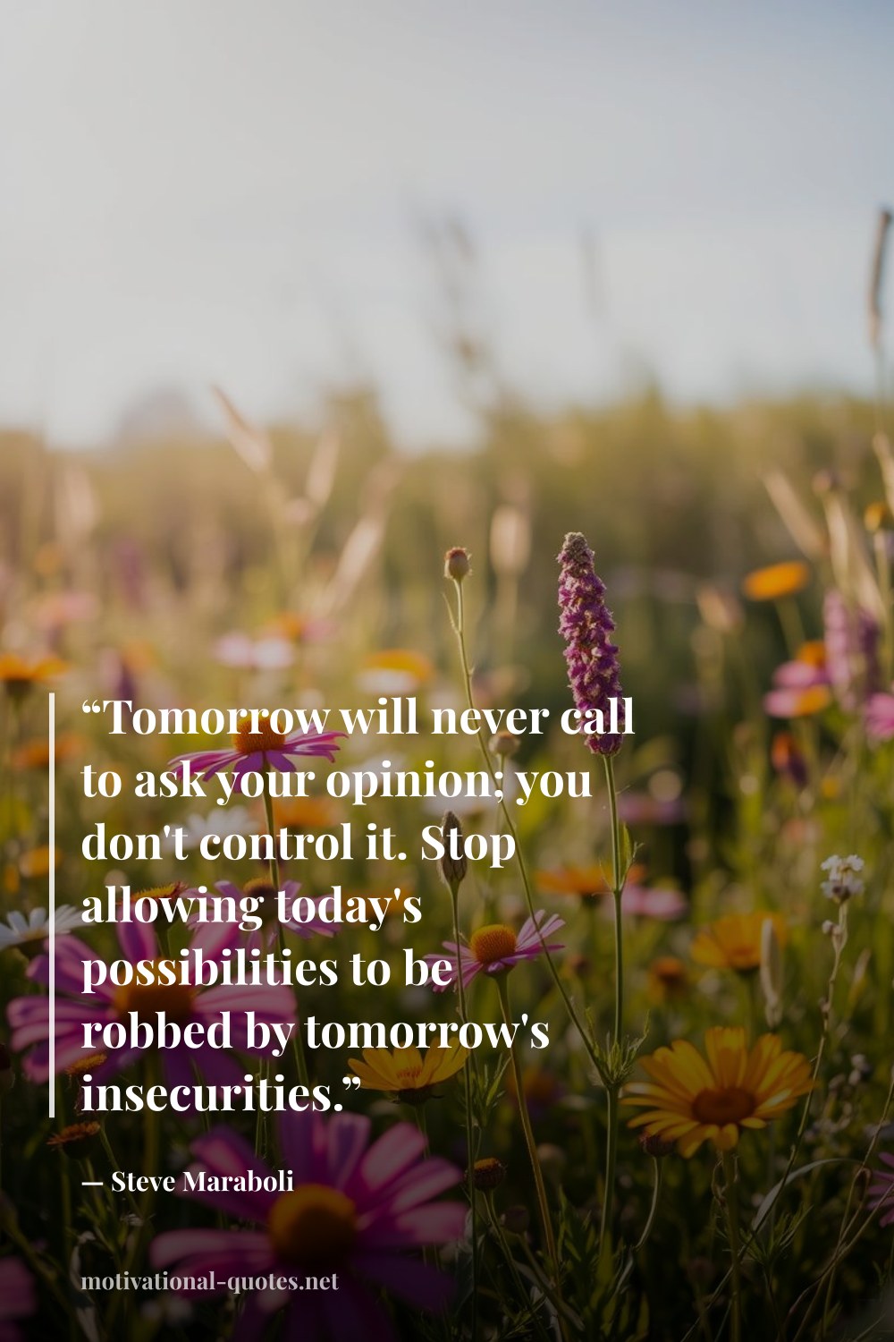 "“Tomorrow will never call to ask your opinion; you don't control it. Stop allowing today's possibilities to be robbed by tomorrow's insecurities.”" — Steve Maraboli