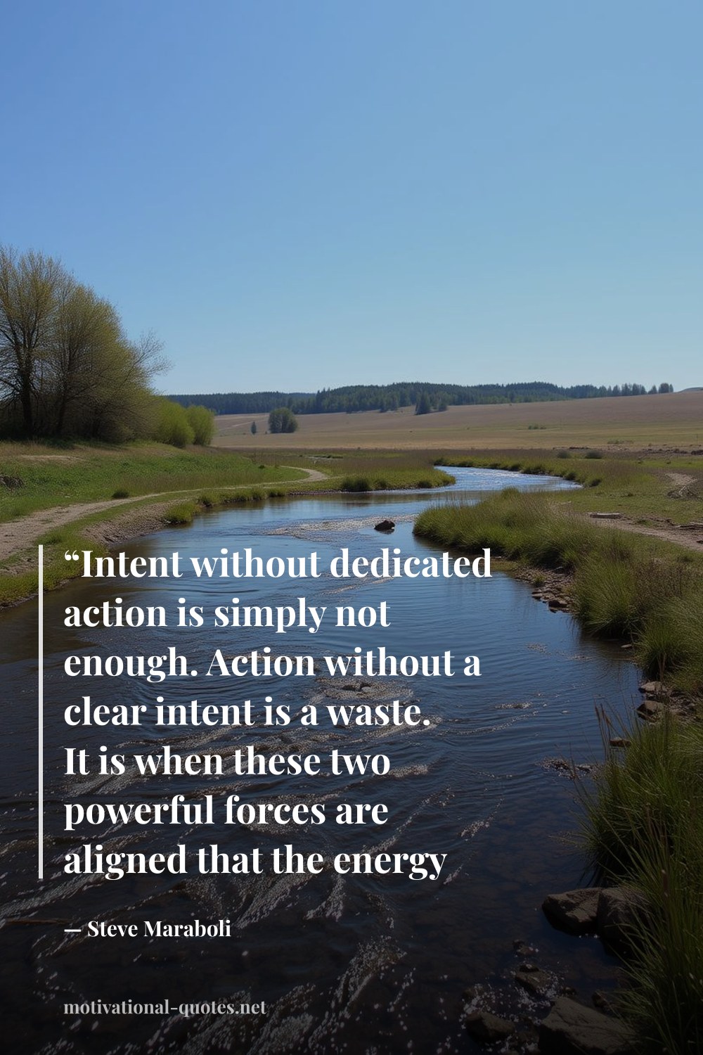 "“Intent without dedicated action is simply not enough. Action without a clear intent is a waste. It is when these two powerful forces are aligned that the energy of the universe conspires in your favor.”" — Steve Maraboli